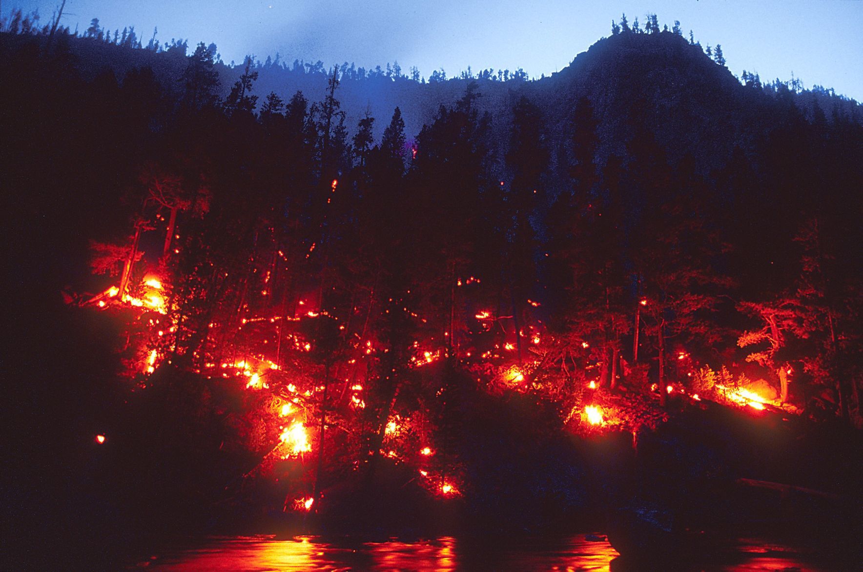 Yellowstone fire Gibbon River